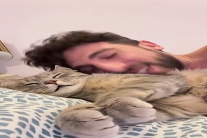 Katze macht Gerusche nach