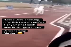 weiter