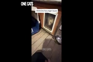 Tiere eben
