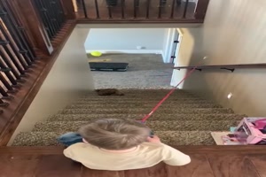 Spielen mit der Katze