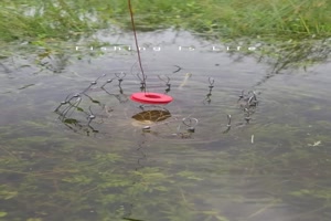 So f�ngt man einen Fisch