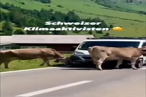 weiter