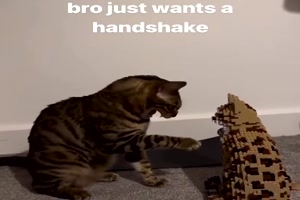 Das wird wohl nichts