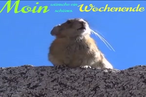 Schnes Wochenende