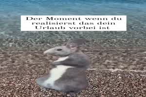 weiter