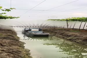 So kann man auch gie�en