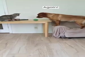 Lass uns Ball spielen