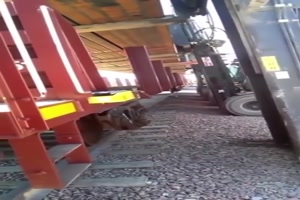 Ganze Arbeit geleistet