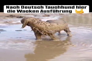 weiter