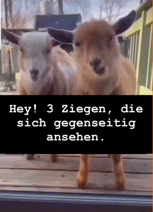 weiter