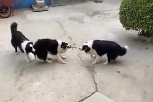 Jeder zieht woanders