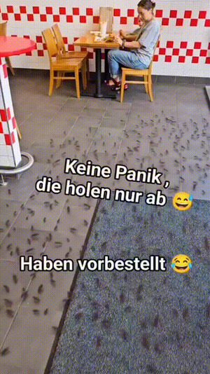 weiter