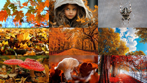 Herbst 37