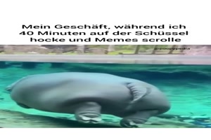 Mein Geschft