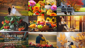 klicke hier, um die Datei herunterzuladen Der Herbst zeigt uns, wie wunderschön es sein kann loszulass
