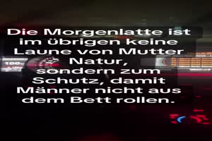 Die Morgenlatte