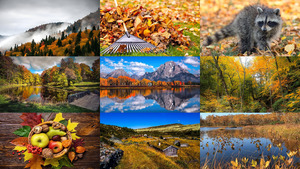 klicke hier, um die Datei herunterzuladen Beautiful Autumn 35