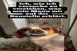 Ich blick gar nichts
