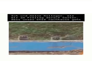 Wann geht denn der Chef endlich?