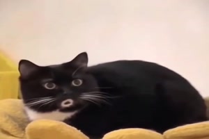 Sie aus als wrde sie pfeifen