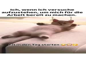 Aufstehen ist schwer