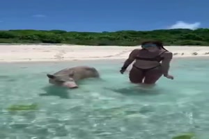 Wenn Tiere dich erschrecken