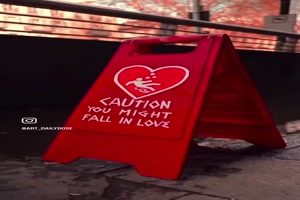 Die Stra�en versch�nern