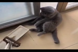 Es gibt sie wirklich