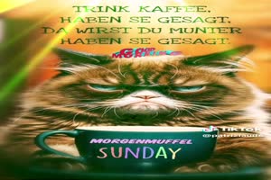 Morgenmuffel