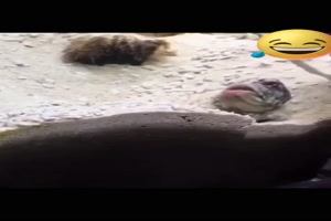 Wie du mir so ich dir