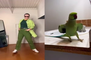 Das ist richtig gut