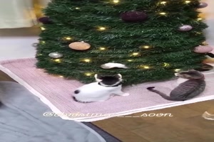Katzen und der Weihnachtsbaum