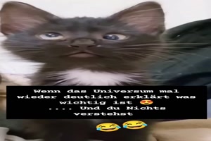 Du verstehst mal wieder nichts