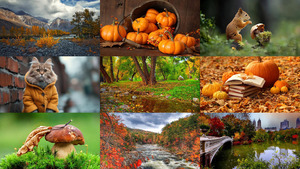 Beautiful Autumn 39