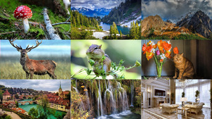 Photo-mix 235