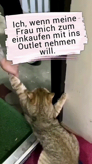 weiter