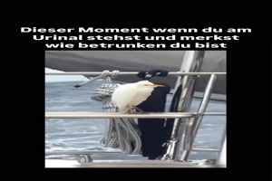 weiter