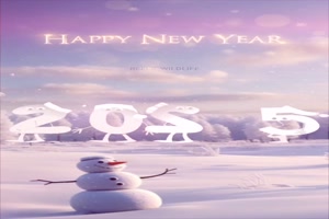 Silvester 2024-2025