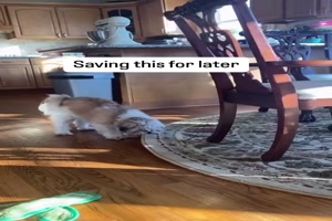 F�r sp�ter aufheben