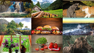 Photo-mix 239