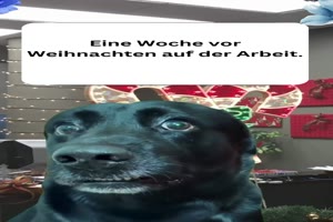 weiter