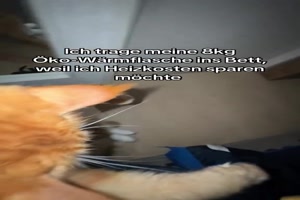 Meine ko-Wrmflasche