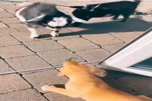 Mach das nochmal
