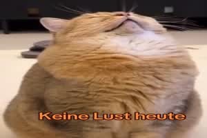 Keine Lust heute
