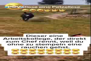 Diese eine Petzliese