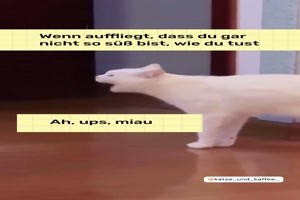 Du bist gar nicht so s��
