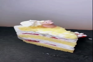 Verfressenes Schweinchen