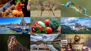 Photo-mix 242