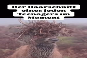 Momentaner Teenager-Haarschnitt