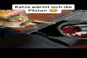 weiter